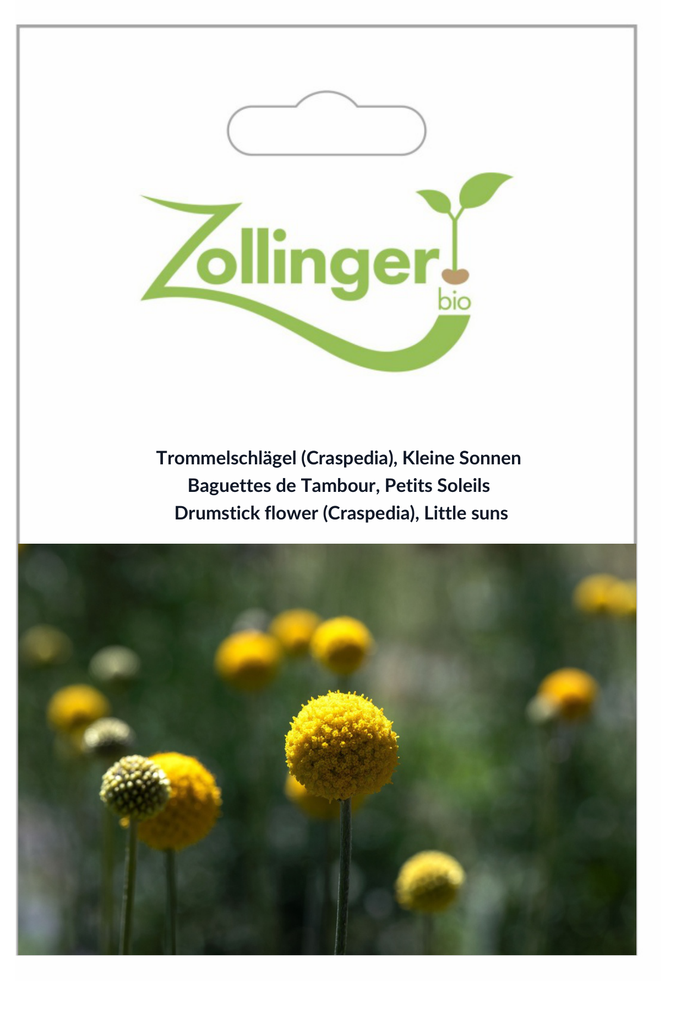 Sachet recto Baguettes de Tambour, Petits Soleils