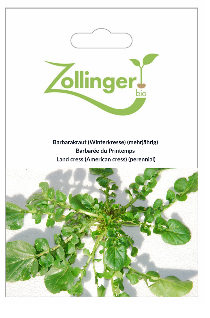 Sachet recto Barbarée du Printemps