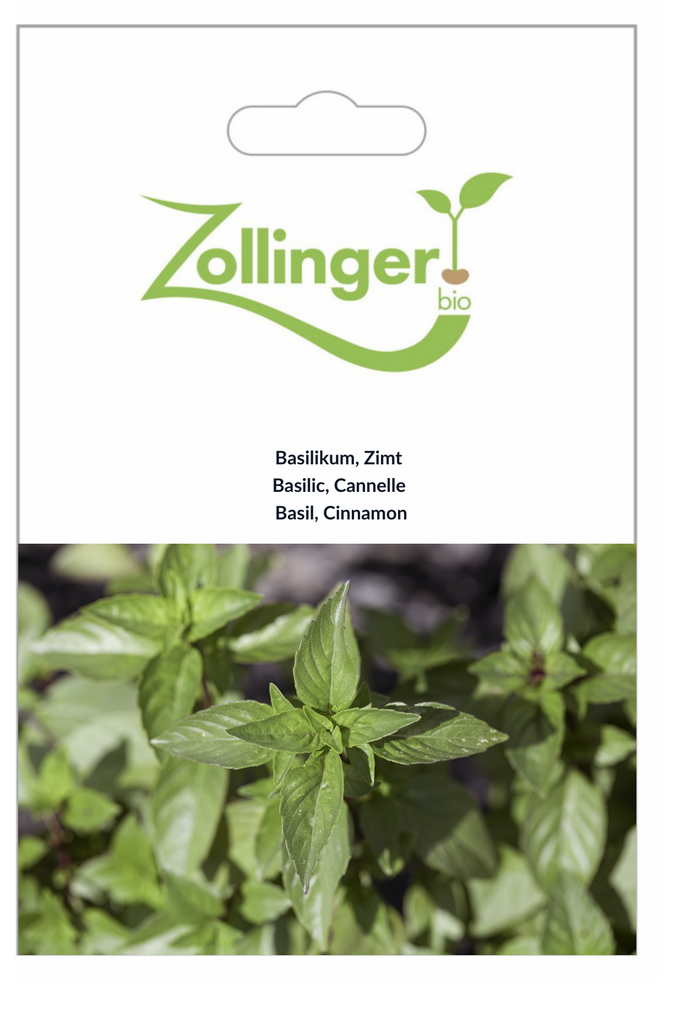 Sachet recto Basilic, Cannelle