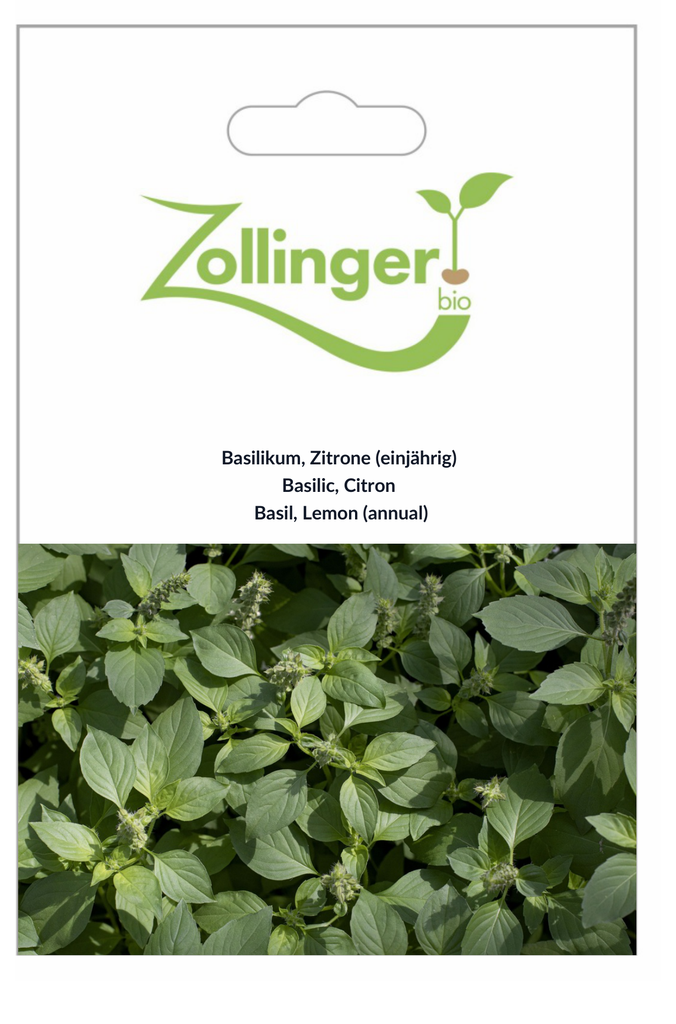 Sachet recto Basilic, Citron