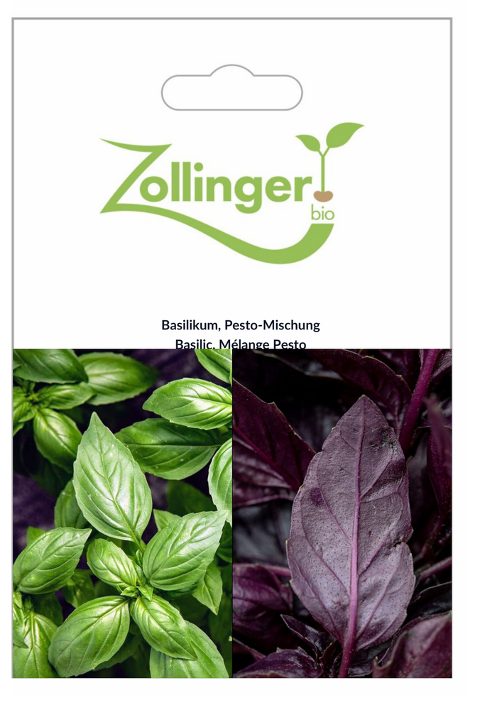 Sachet recto Basilic, Mélange Pesto