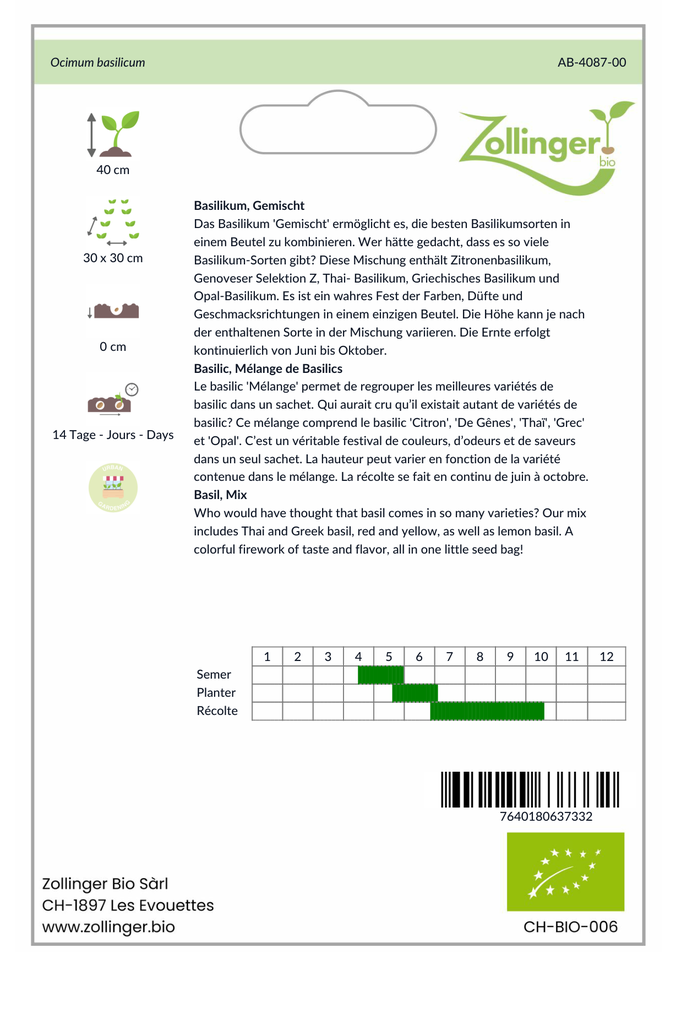 Sachet recto Basilic, Mélange de Basilics