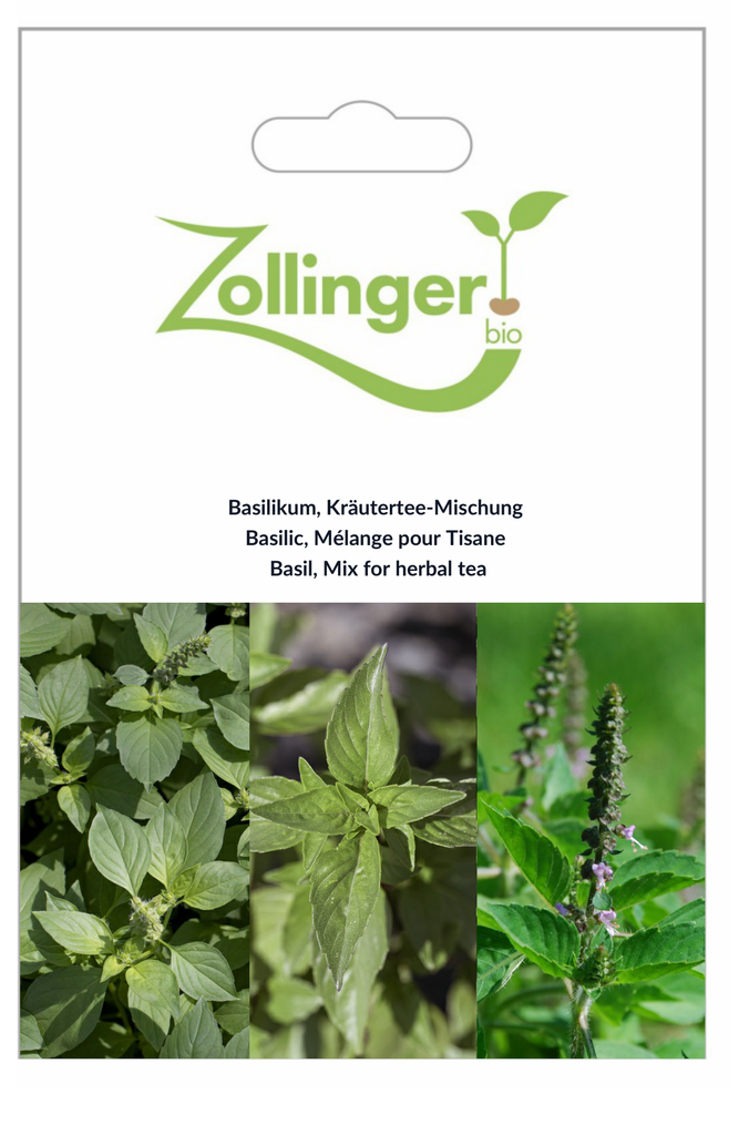 Sachet recto Basilic, Mélange pour Tisane