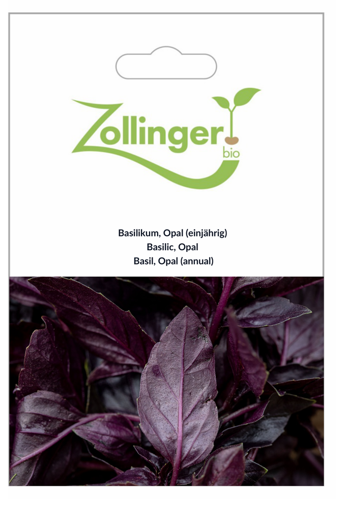 Sachet recto Basilic, Opal