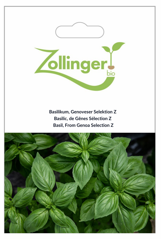 Sachet recto Basilic, de Gênes Sélection Z