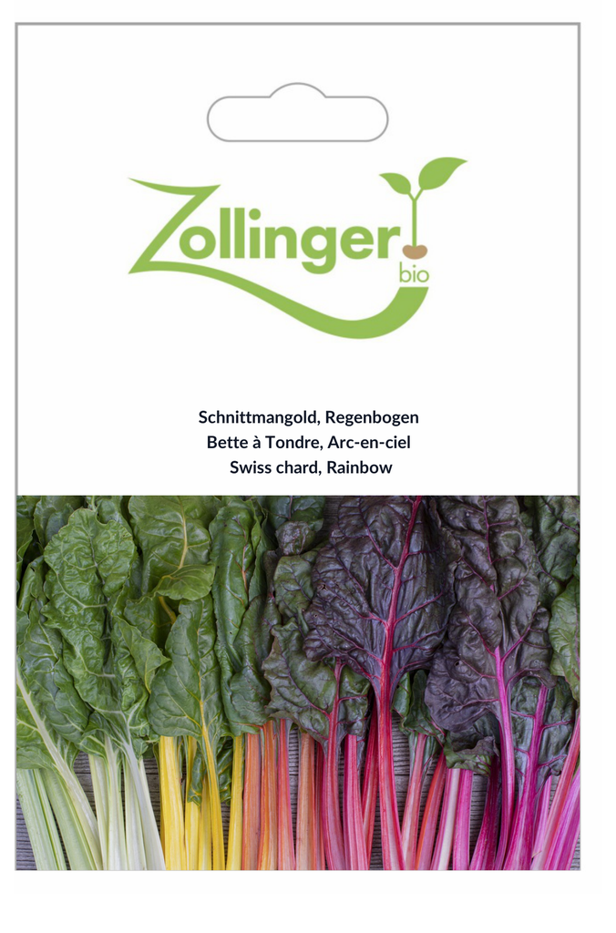 Sachet recto Bette à Tondre, Arc-en-ciel