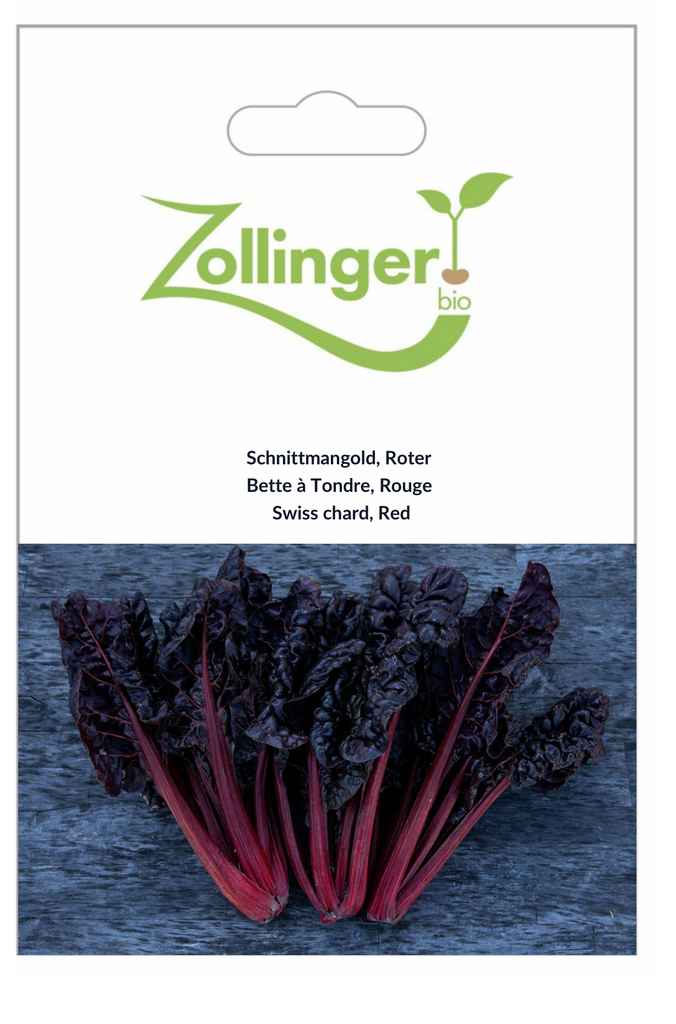 Sachet recto Bette à Tondre, Rouge