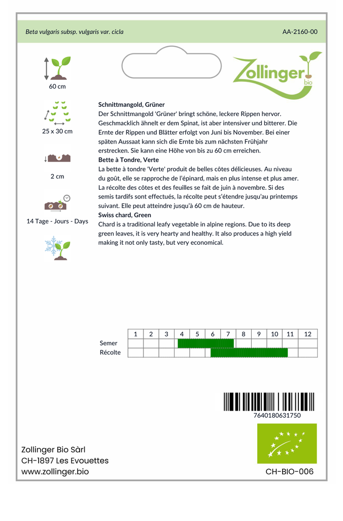 Sachet recto Bette à Tondre, Verte