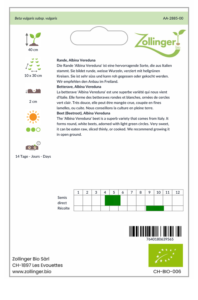 Sachet recto Betterave, Albina Vereduna