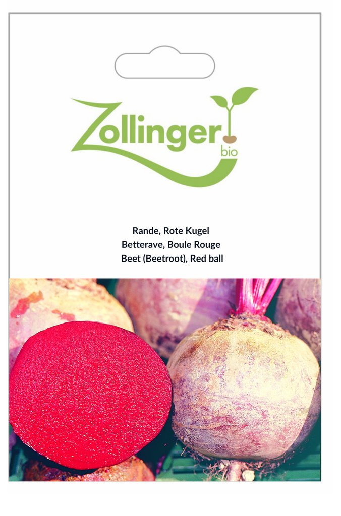 Sachet recto Betterave, Boule Rouge