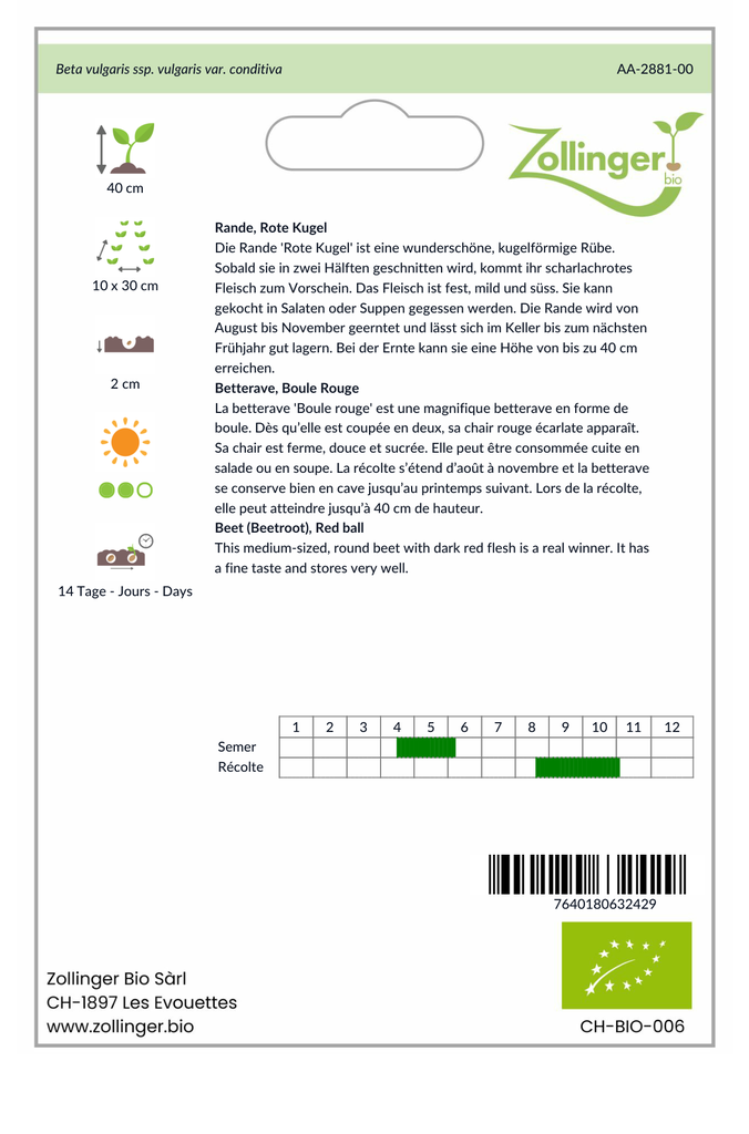 Sachet recto Betterave, Boule Rouge