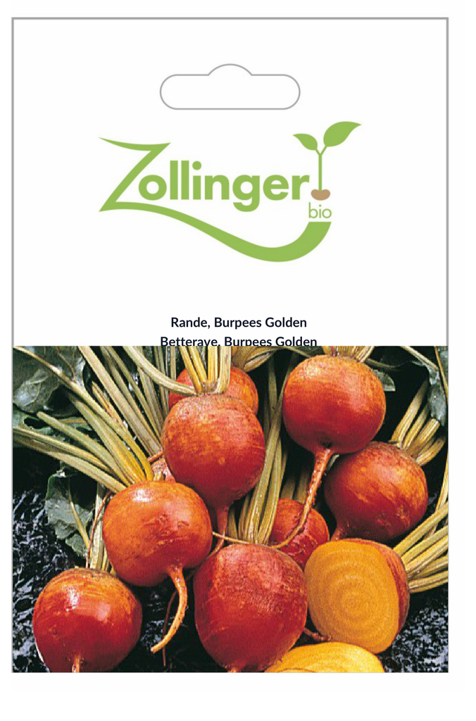 Sachet recto Betterave, Burpees Golden