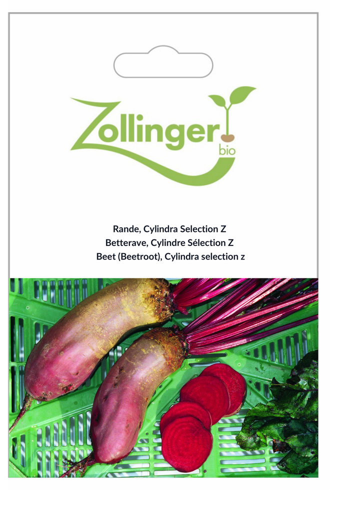 Sachet recto Betterave, Cylindre Sélection Z