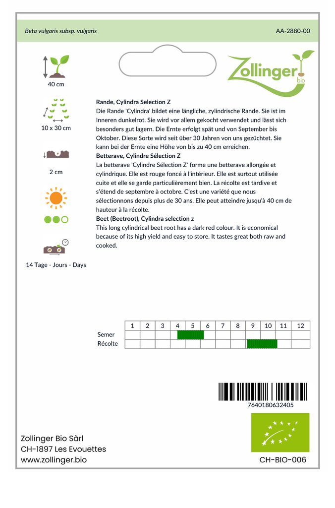 Sachet recto Betterave, Cylindre Sélection Z