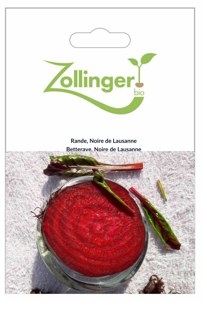 Sachet recto Betterave, Noire de Lausanne