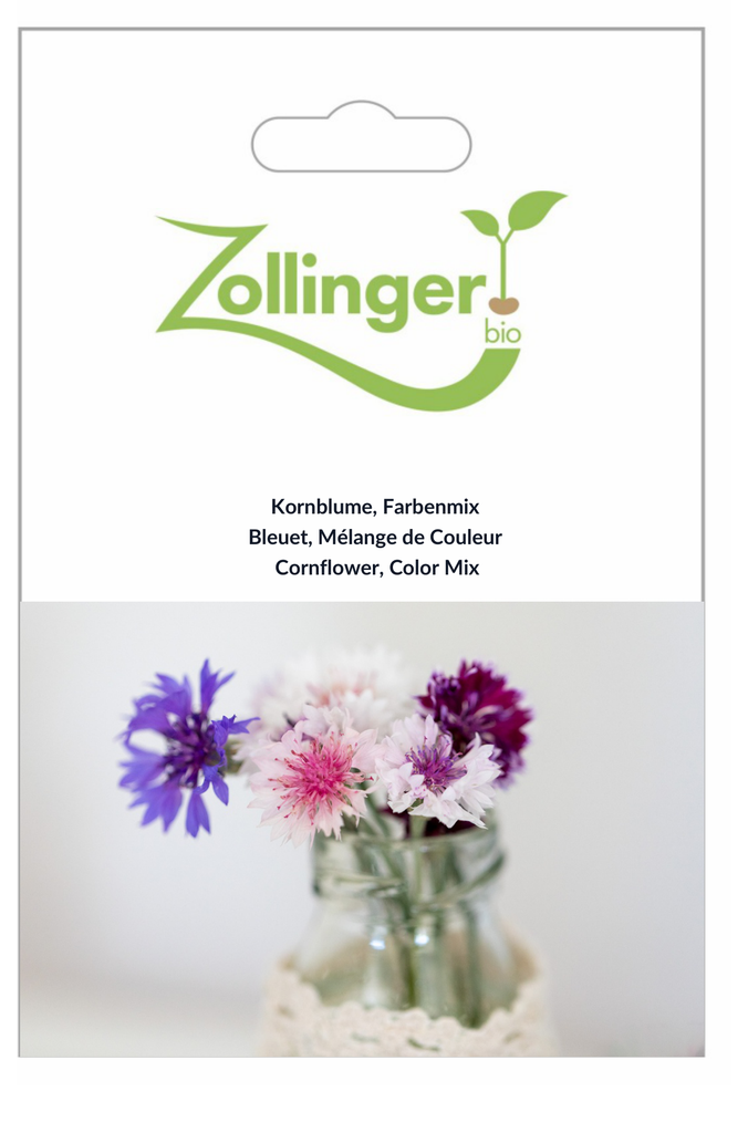 Sachet recto Bleuet, Mélange de Couleur