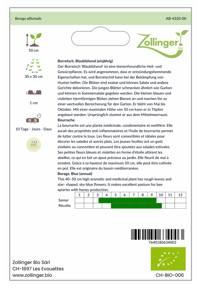 Sachet recto Bourrache