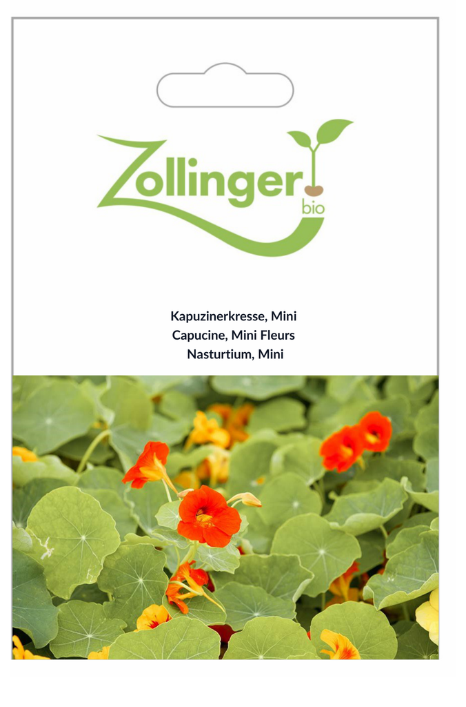 Sachet recto Capucine, Mini Fleurs