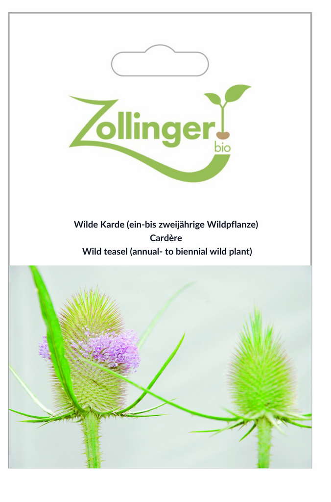 Sachet recto Cardère