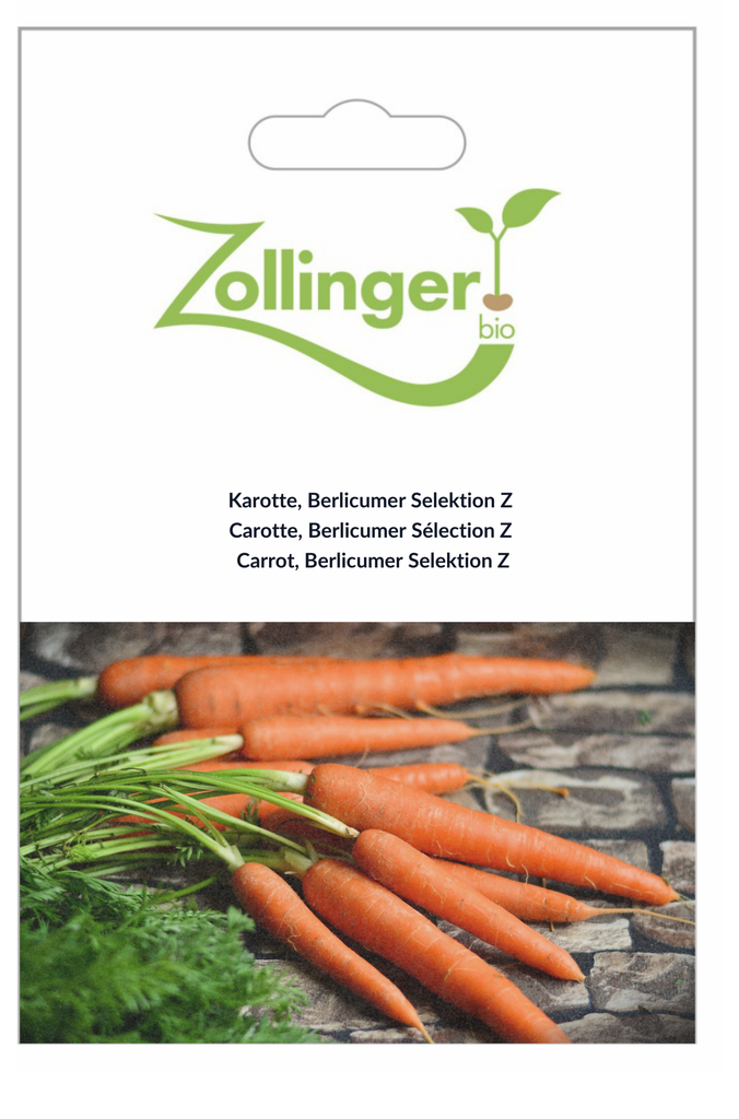 Sachet recto Carotte, Berlicumer Sélection Z