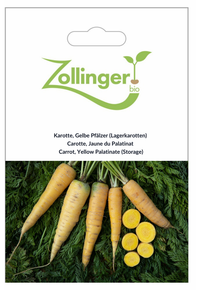 Sachet recto Carotte, Jaune du Palatinat