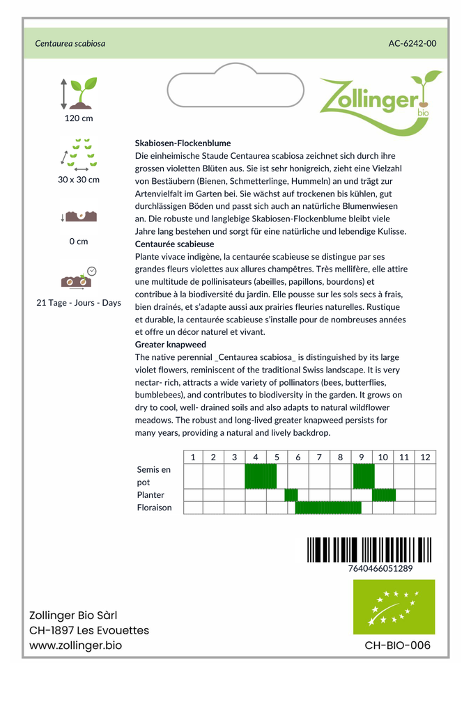 Sachet recto Centaurée scabieuse