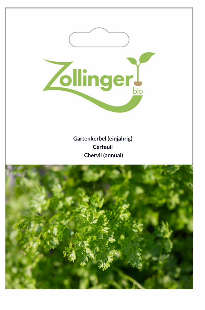 Sachet recto Cerfeuil