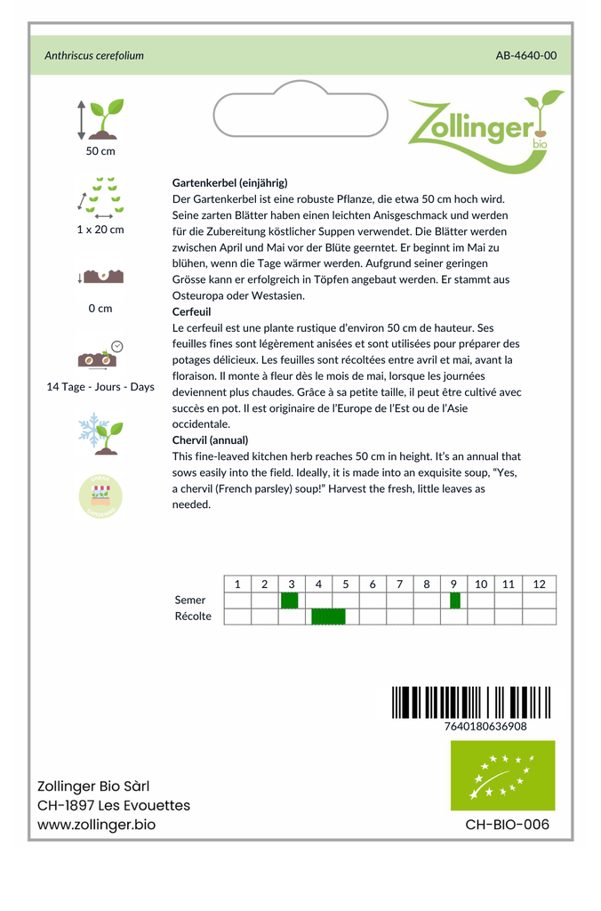 Sachet recto Cerfeuil