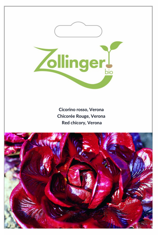 Sachet recto Chicorée Rouge, Verona