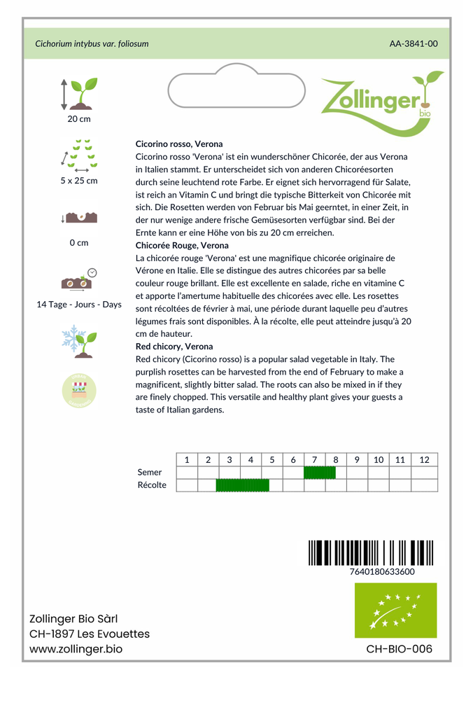 Sachet recto Chicorée Rouge, Verona