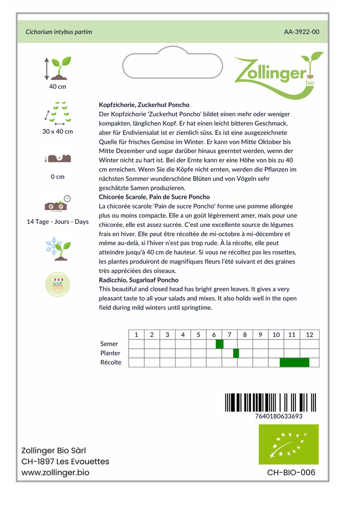 Sachet recto Chicorée Scarole, Pain de Sucre Poncho