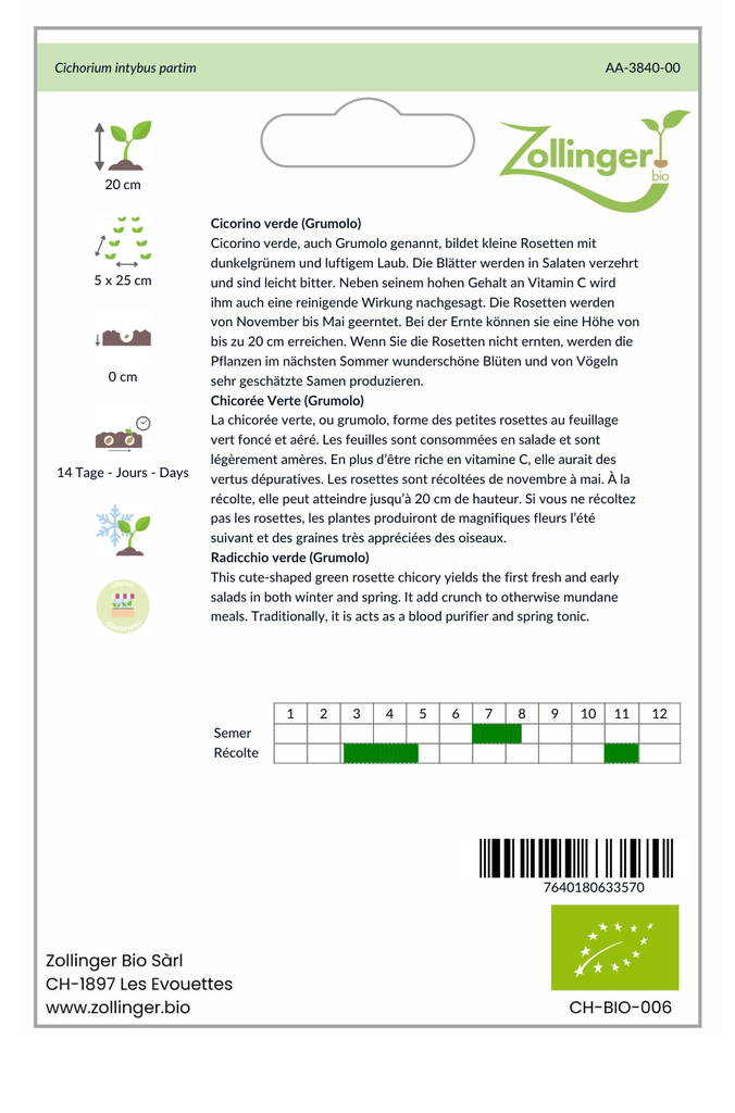 Sachet recto Chicorée Verte (Grumolo)