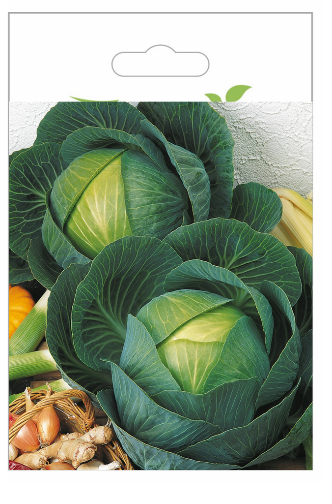 Sachet recto Chou Blanc, Marner Lagerweiss