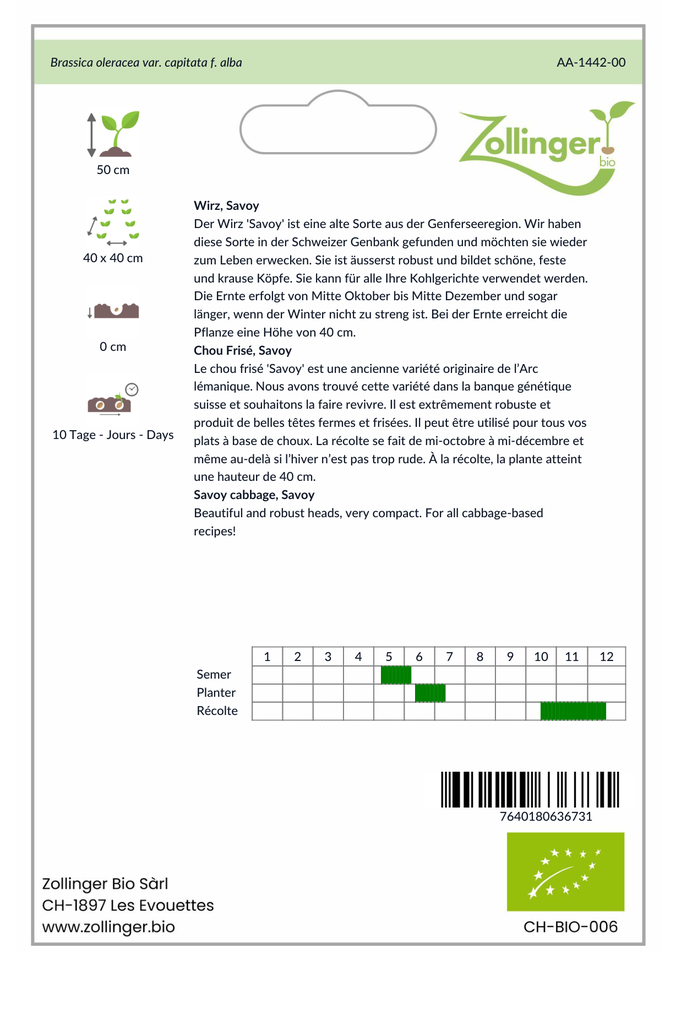 Sachet recto Chou Frisé, Savoy