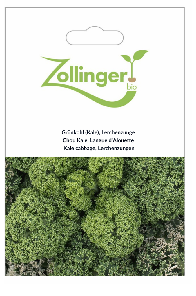 Sachet recto Chou Kale, Langue d'Alouette