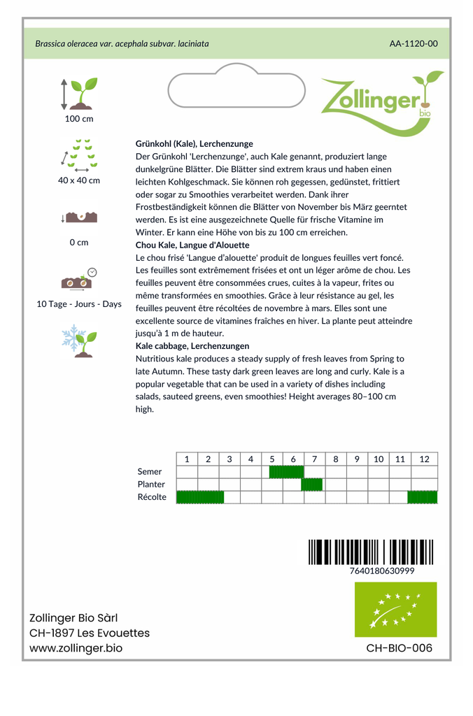 Sachet recto Chou Kale, Langue d'Alouette