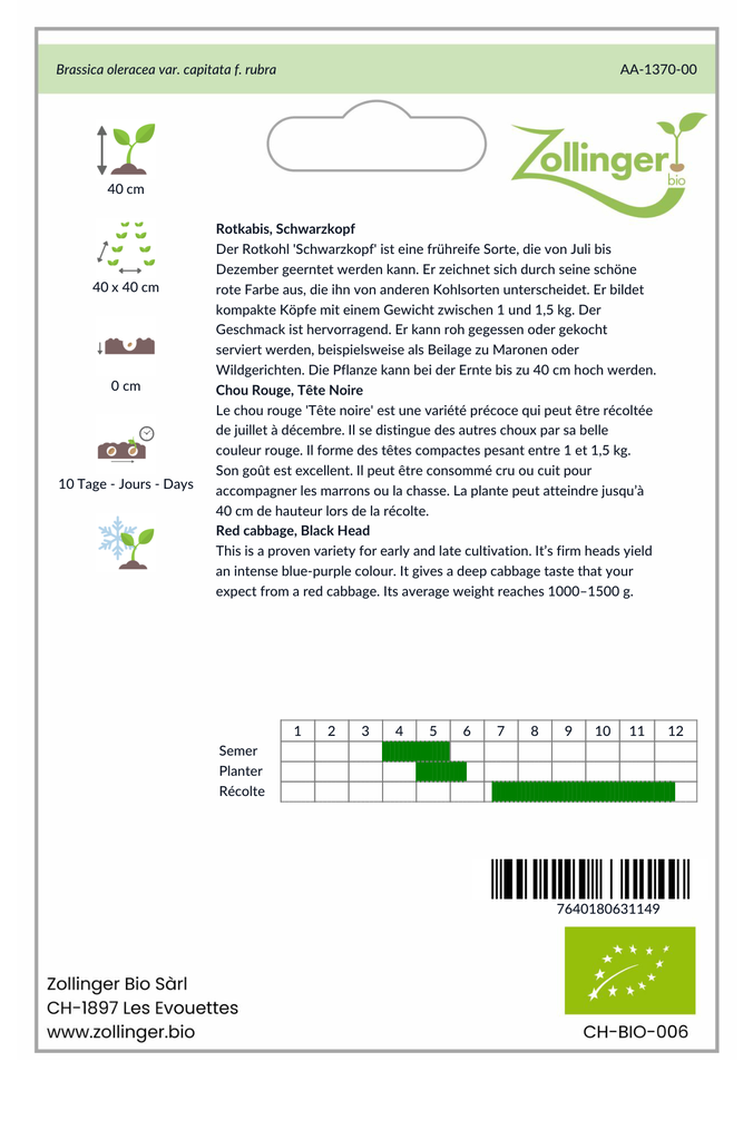 Sachet recto Chou Rouge, Tête Noire