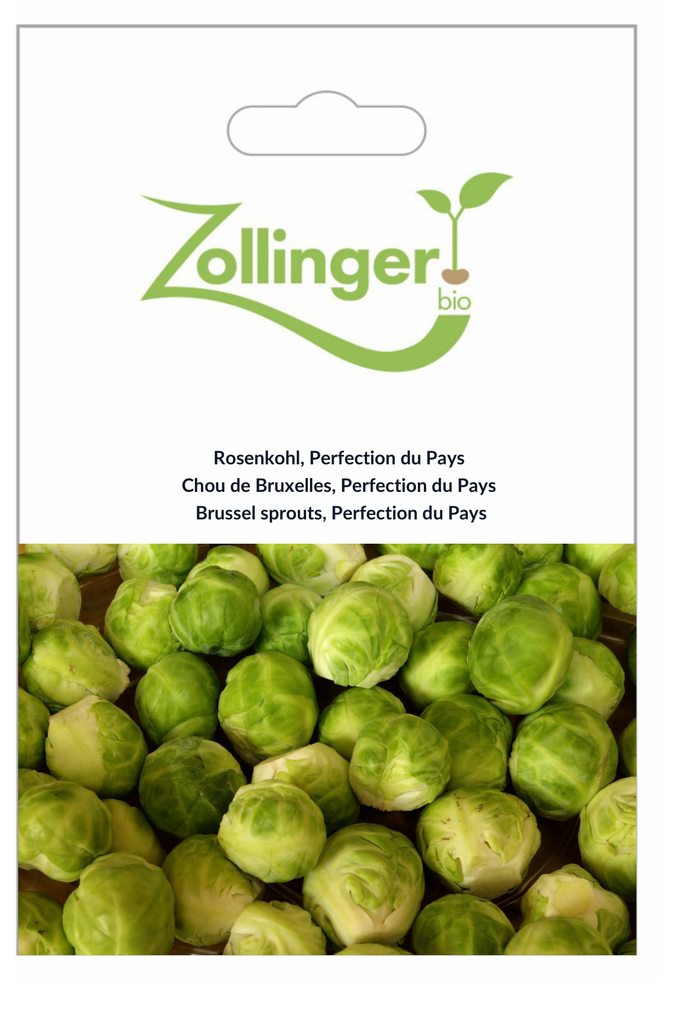 Sachet recto Chou de Bruxelles, Perfection du Pays