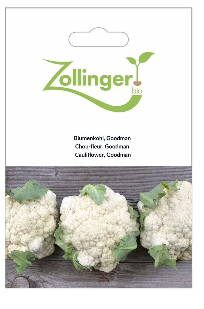 Sachet recto Chou-fleur, Goodman