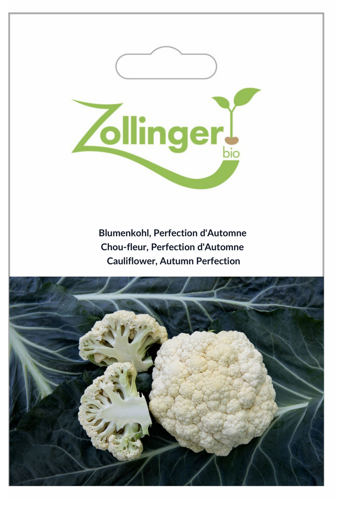 Sachet recto Chou-fleur, Perfection d'Automne