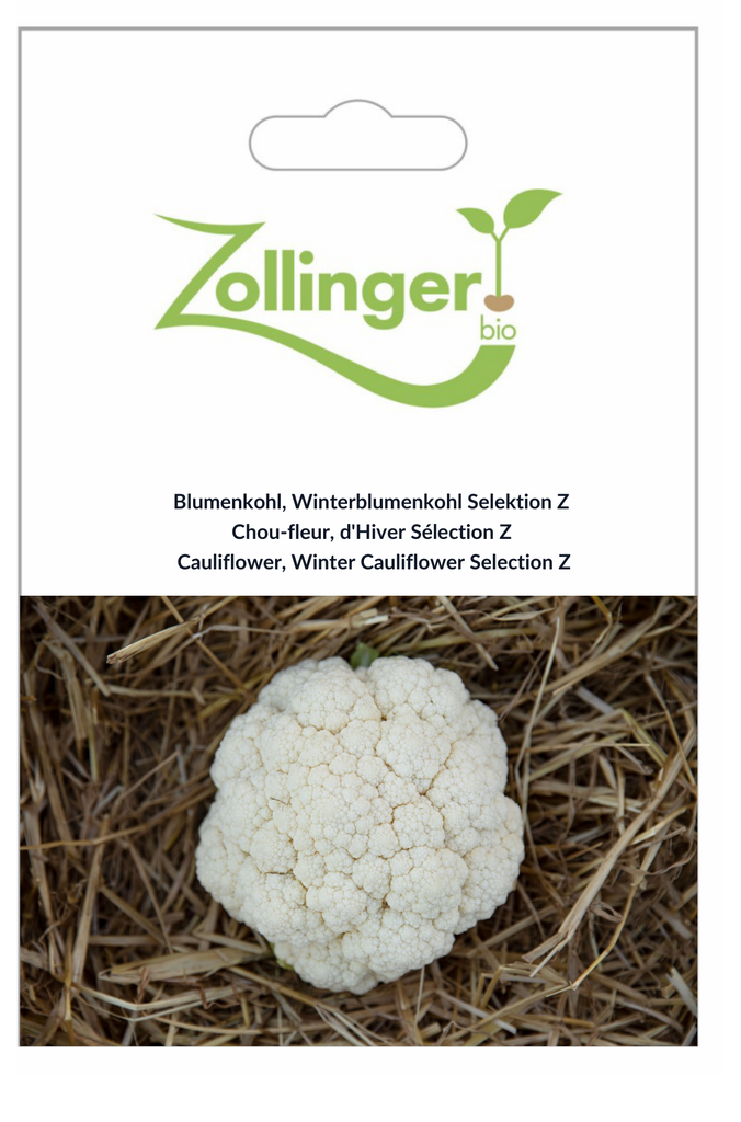 Sachet recto Chou-fleur, d'Hiver Sélection Z