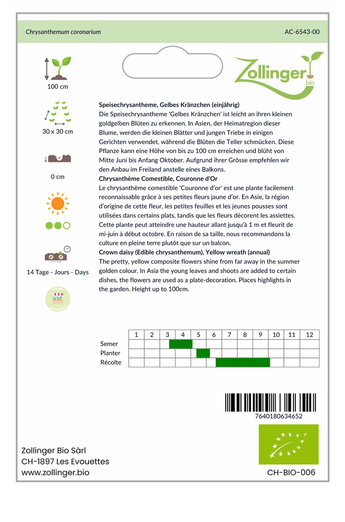 Sachet recto Chrysanthème Comestible, Couronne d'Or