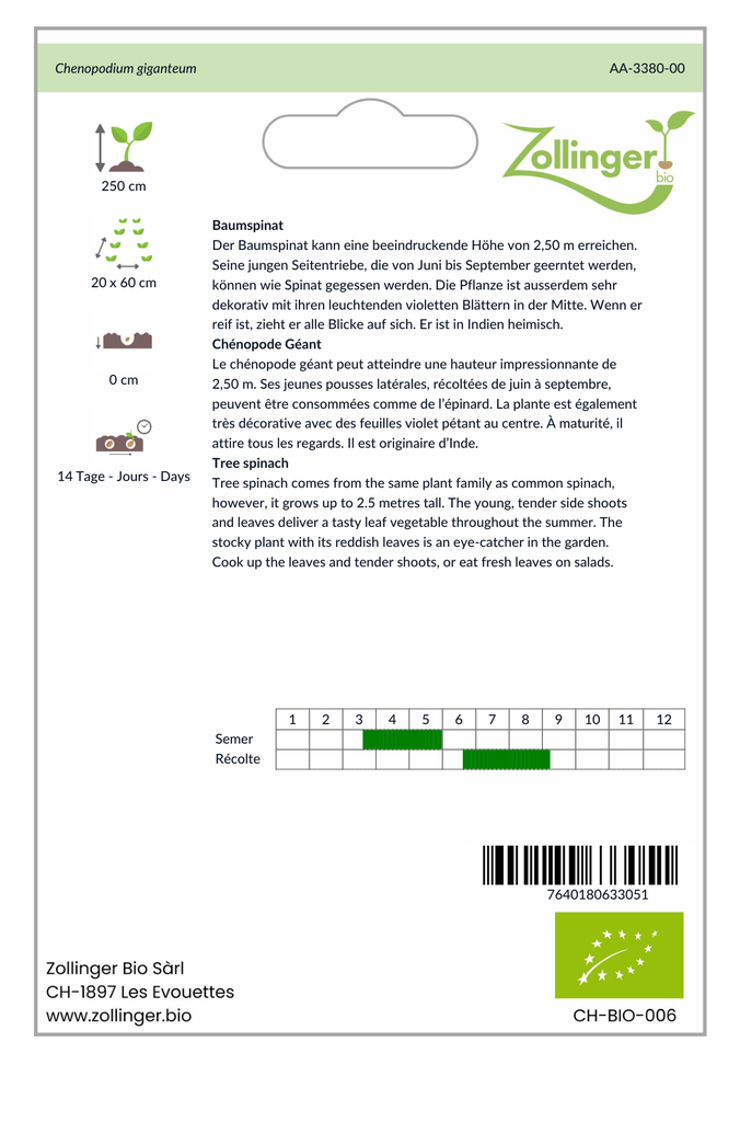 Sachet recto Chénopode Géant