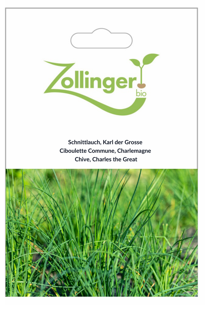 Sachet recto Ciboulette Commune, Charlemagne