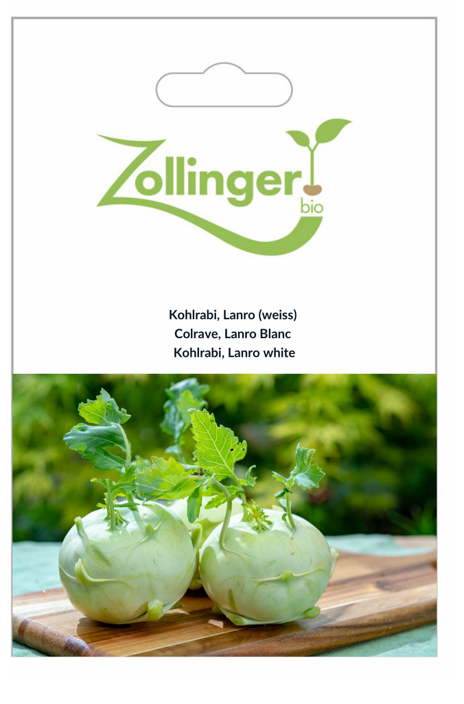 Sachet recto Colrave, Lanro Blanc