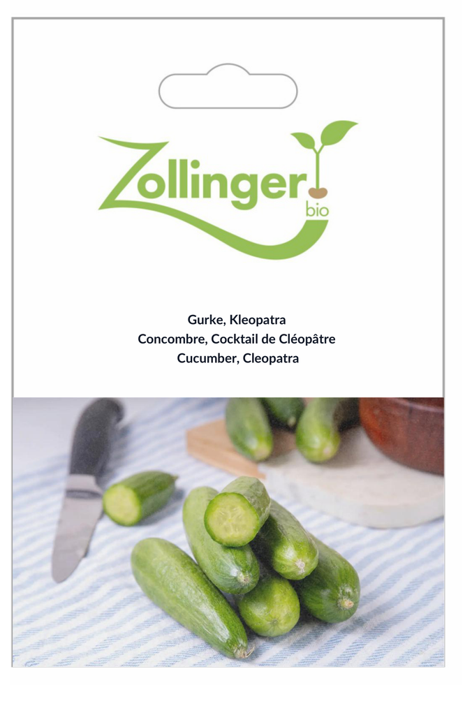 Sachet recto Concombre, Cocktail de Cléopâtre