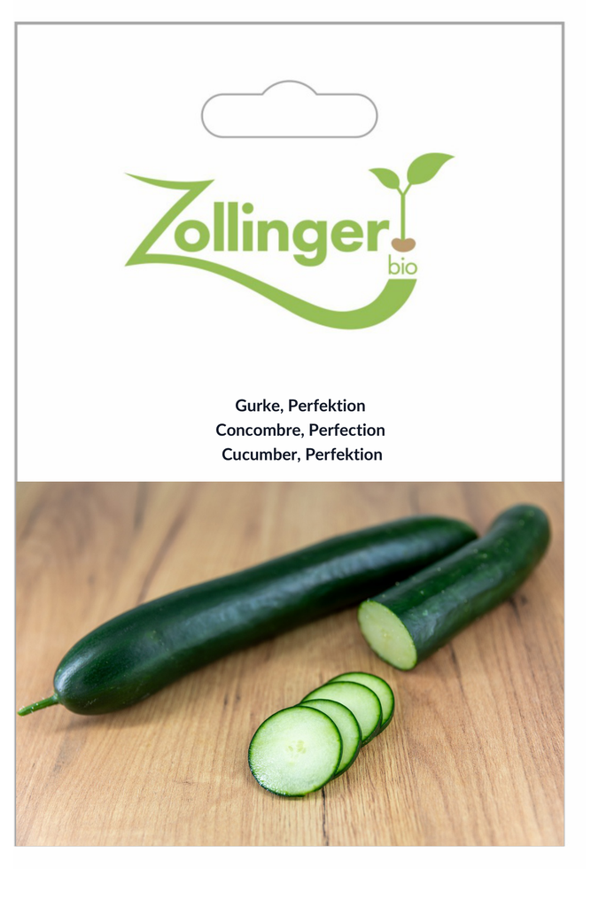 Sachet recto Concombre, Perfection