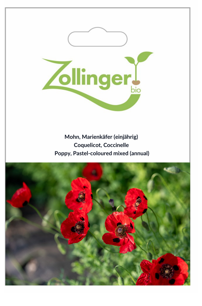 Sachet recto Coquelicot, Coccinelle