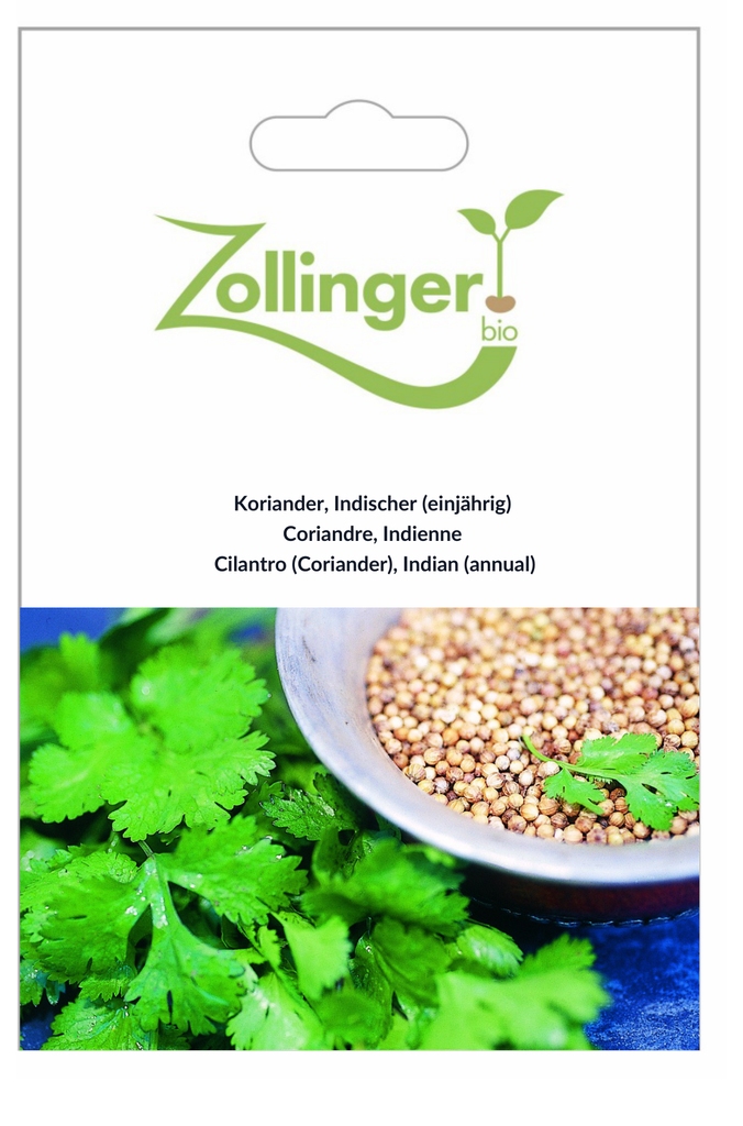 Sachet recto Coriandre, Indienne