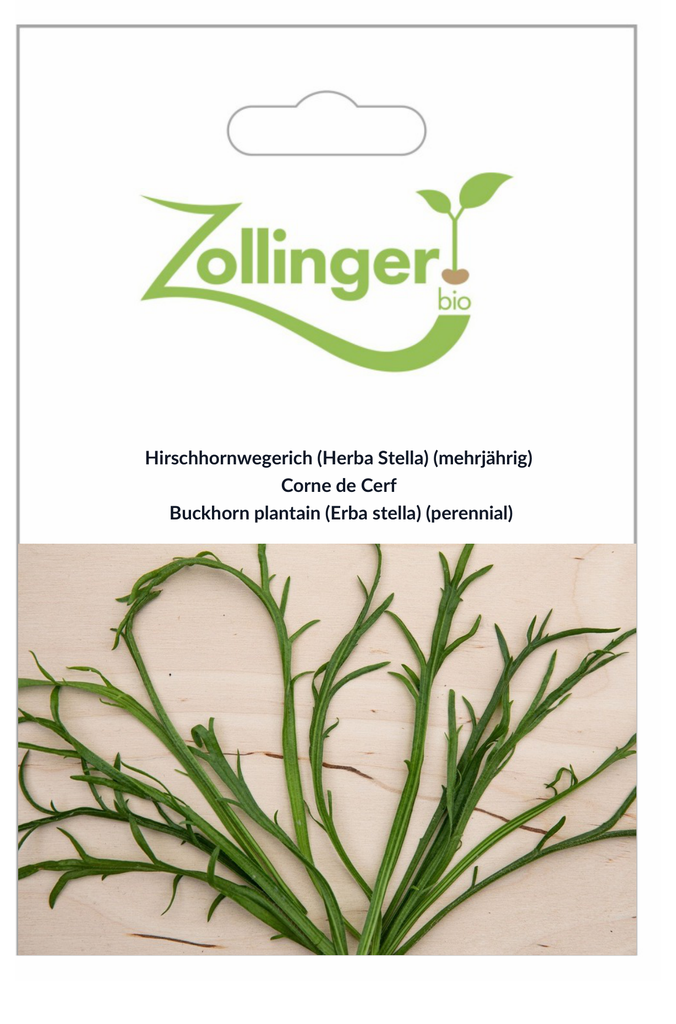 Sachet recto Corne de Cerf